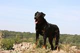 BEAUCERON 763